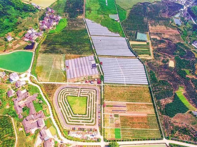 北碚区歇马镇虎头山。秦延富 摄