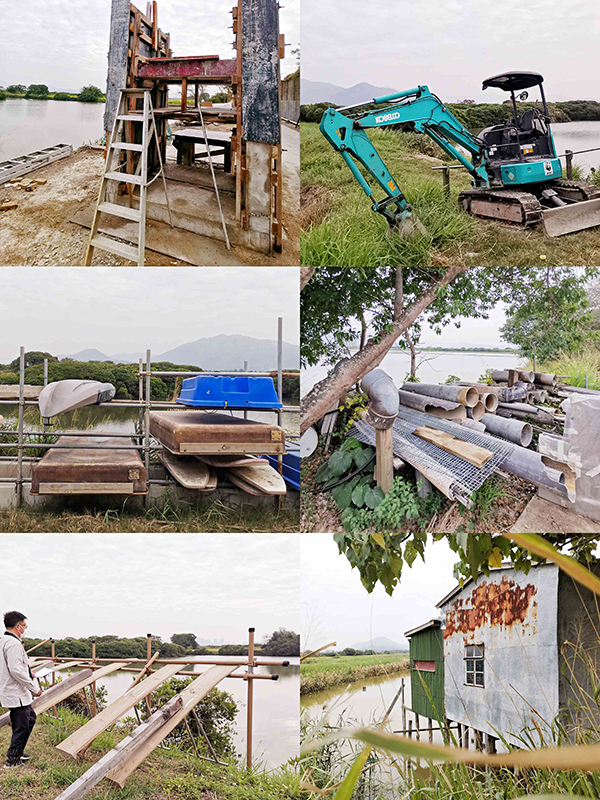 基围边一些循环利用的湿地维护设备。王婷 图