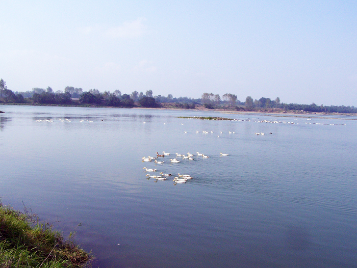 重庆潼南涪江国家湿地公园