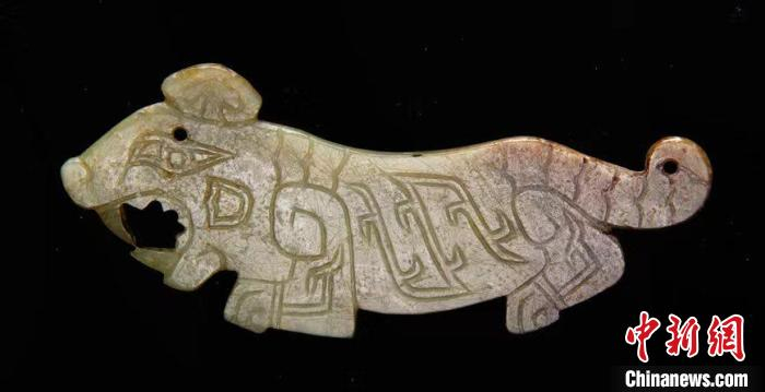 妇好墓玉虎，作奔跑行走状，两面施刻双勾阴刻阳线纹饰，昂首，张口露齿。　朱乃诚  供图