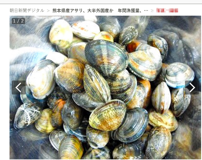  蛤蜊资料图 图源：《朝日新闻》配图