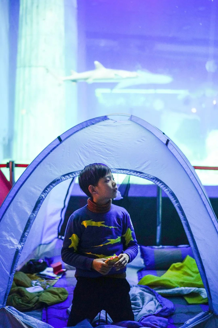 正佳极地海洋世界夜宿活动。受访者供图