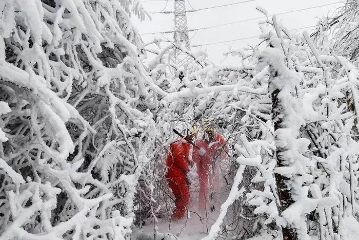 电力巡线工人清除路上的障碍  罗一灵 摄