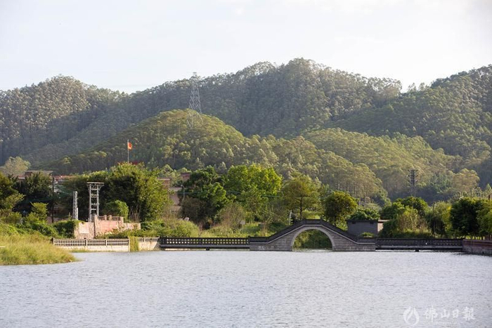 水井村风光秀丽，农旅资源丰富。佛山日报记者洪海摄