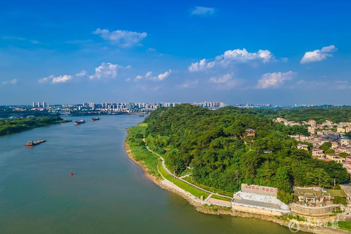 三水区西南街道江根村风景优美，水清岸绿，风景如画。佛山日报记者王澍摄