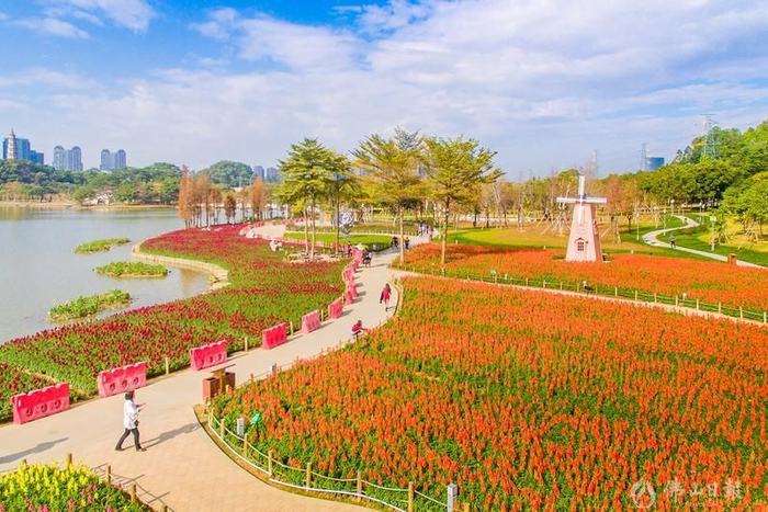 顺德区大良街道顺峰山公园环境优美，游人如织。佛山日报记者王澍摄