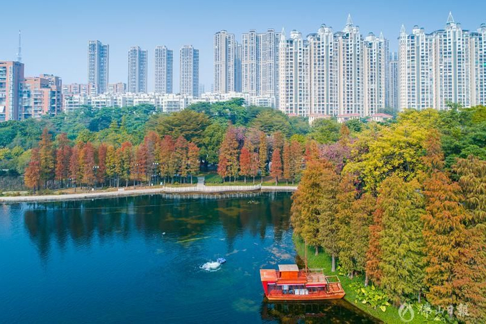 佛山日报记者符诗贺摄