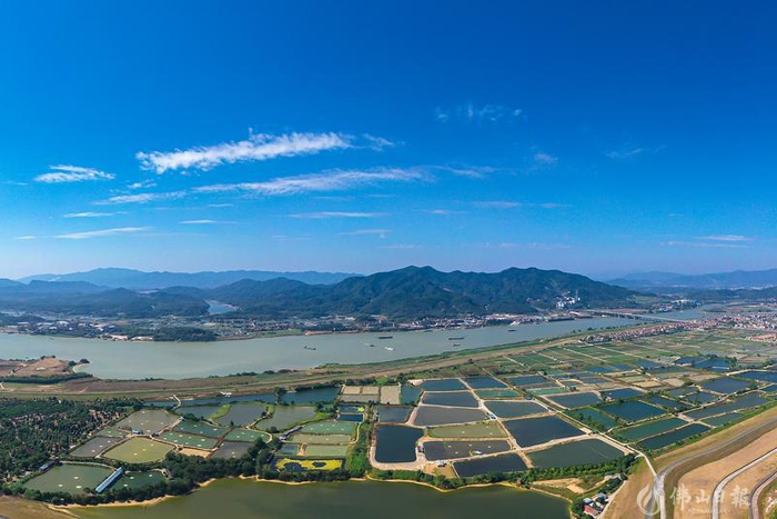 俯瞰三水区大塘镇环境优美，桑基鱼塘连片。佛山日报记者王澍摄