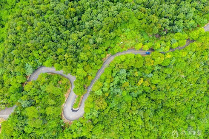 广东云勇国家森林公园内，汽车行走在山间绿道中。佛山日报记者洪海摄