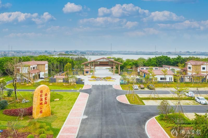 俯瞰云东海国家湿地公园，三水今年将重点打造云东海北湖美丽乡村精品路线，初步建成云东海北湖美丽乡村精品路线核心段。佛山日报记者王澍摄