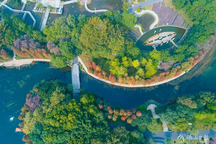 佛山日报记者符诗贺摄