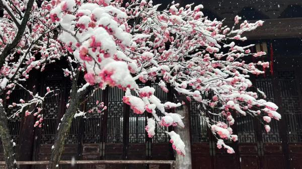 浙江省博物馆雪景 