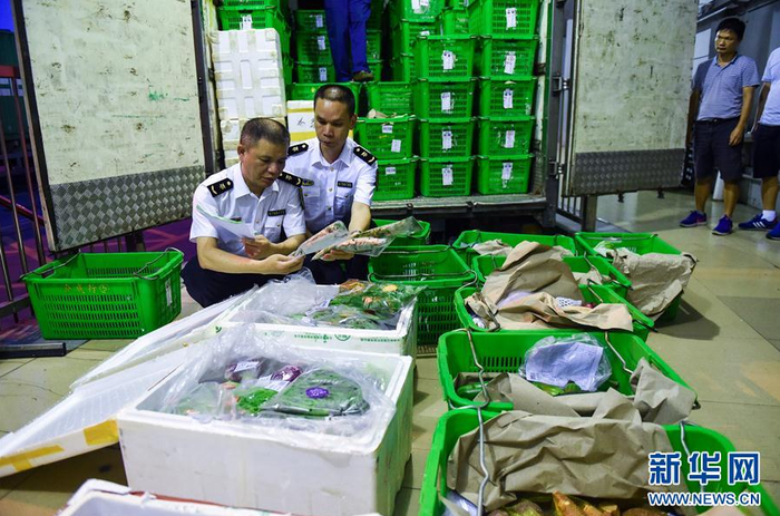 深圳文锦渡出入境检验检疫局的工作人员 新华网2017年图片
