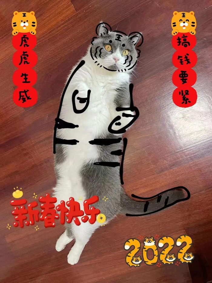 宠物主人的“照猫画虎” 张力克 图