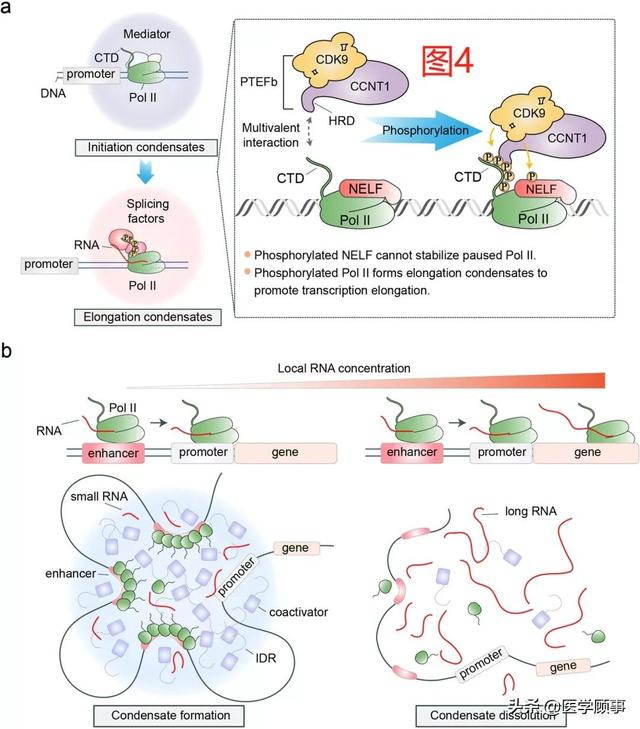 百度seo怎么联调