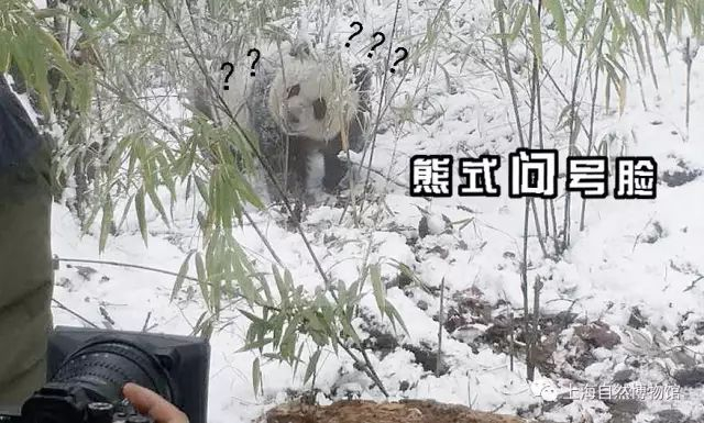 潘光平 吴元奇摄