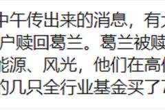 宁王一度大跌8%，中欧基金辟谣葛兰被巨额赎回，新能源板块还能追吗？