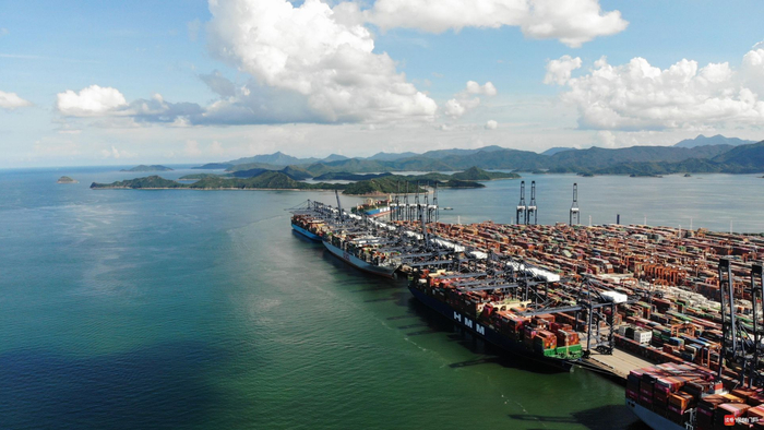 盐田港。深圳特区报记者 杨浩翰 摄