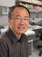 Nature：82年海南省高考状元王竞教授团队揭秘进食与求偶行为二选一的底层神经逻辑|王竞|高考状元|海南省|神经|大脑|逻辑|教授|肠道 ...