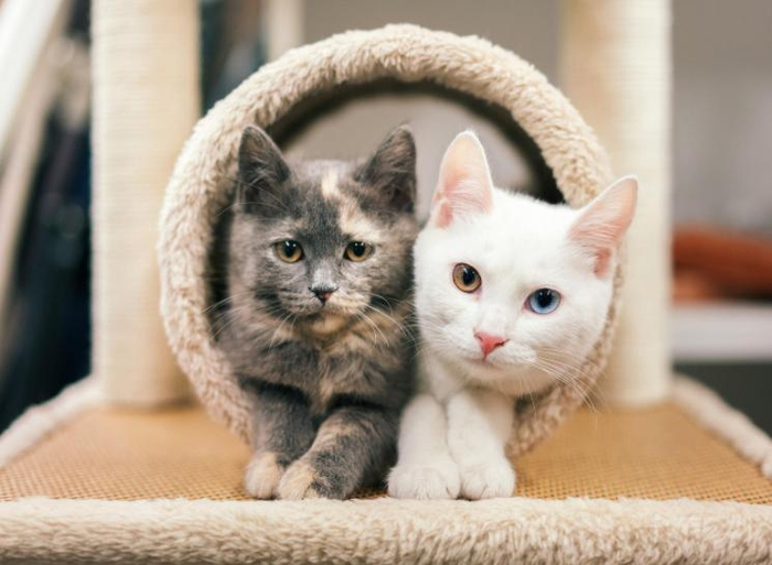 资料图 图据 IC photo