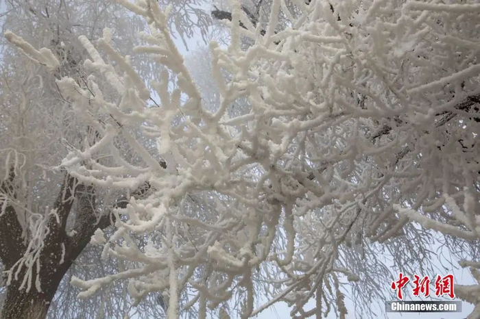 图片来源：ICphoto