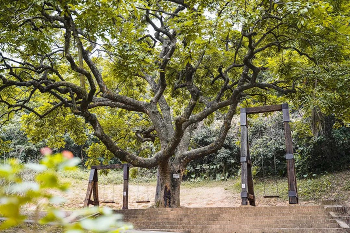 📍四海马术寒舍农庄