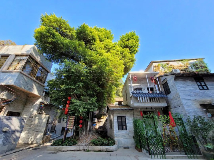 醒狮、龙舟、鸡公榄等