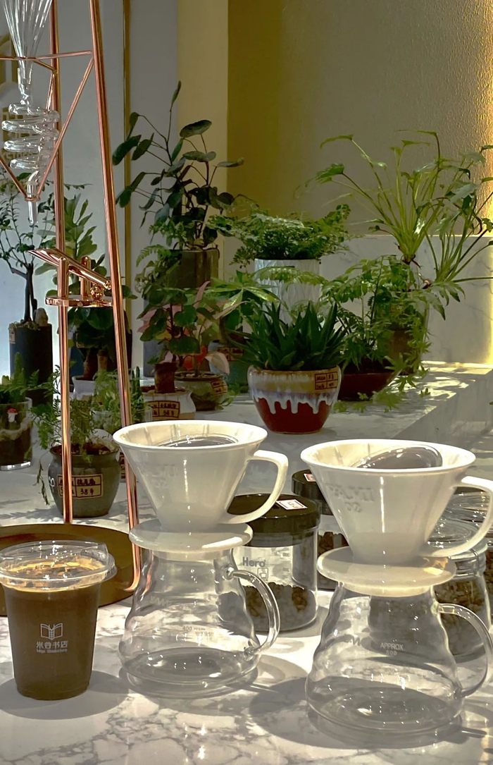 这里有绿树成荫