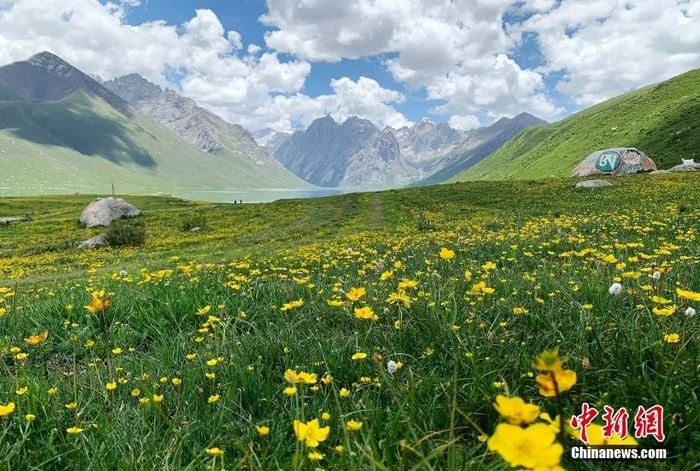 中新社记者 孙睿 摄