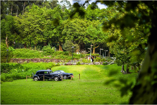 “侏罗纪公园”