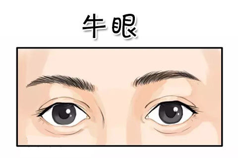 男女这三种眼形，福多命好，财气高人一等，大富大贵