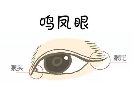 男女这三种眼形,福多命好,财气高人一等,大富大贵