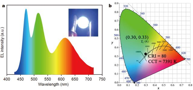 关于WLED的实验与结果图，图片来自论文