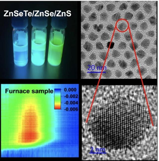 实验图片来自论文