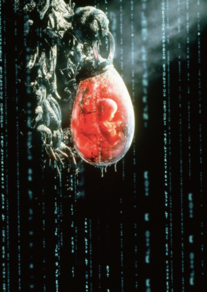 《黑客帝国》剧照