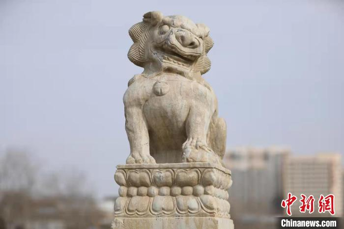 衡水安济桥上形态各异的小狮子。　吕明会 摄