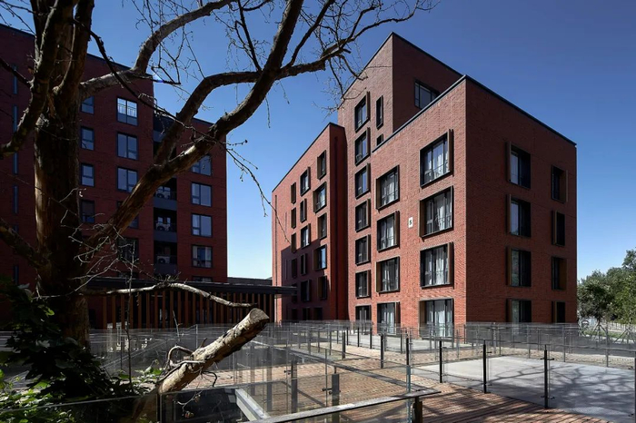 冬训中心 首钢秀池智选假日酒店-保留树木与建筑的对话©陈鹤