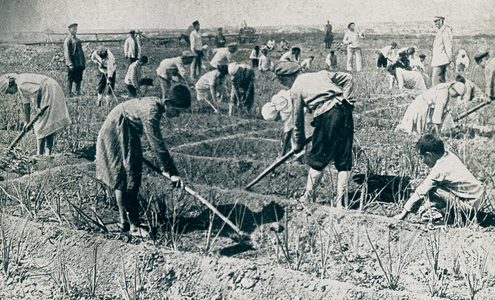 1925年至1938年期间，犹太人在前苏联农业定居点工作。
