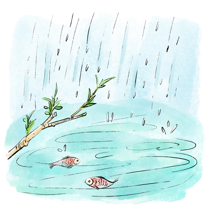 雨水带来春意 图 视觉中国