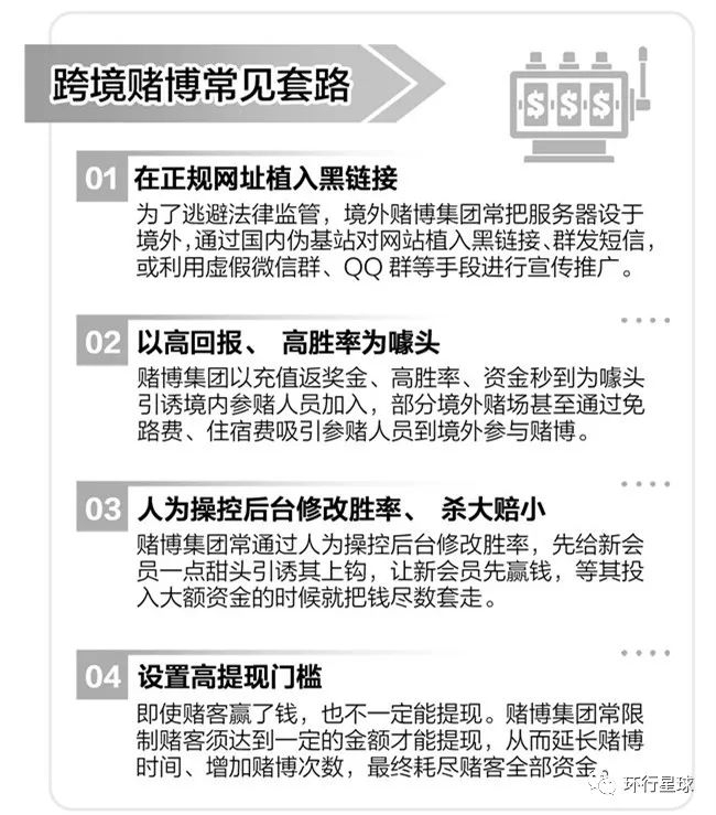 赌博网站组织框架图