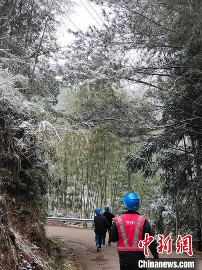 金涵乡供电所虎贝服务站组织人员对10千伏黄柏线进行巡线。　周统奋 摄