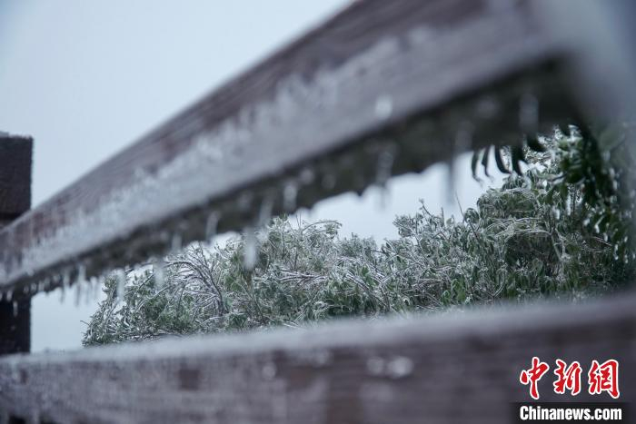 图为惠州罗浮山飞云顶上的冰挂。　博罗融媒供图