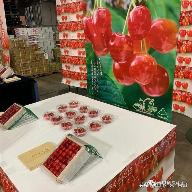 好骑不易坏省油的摩托车自动挡