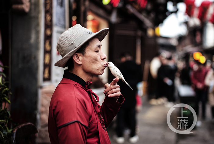 磁器口景区商店门前的鸟语者。冉文 摄