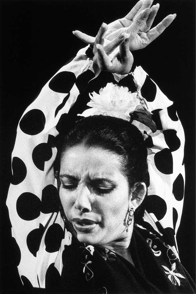 Eva Yerbabuena，Paris，1992