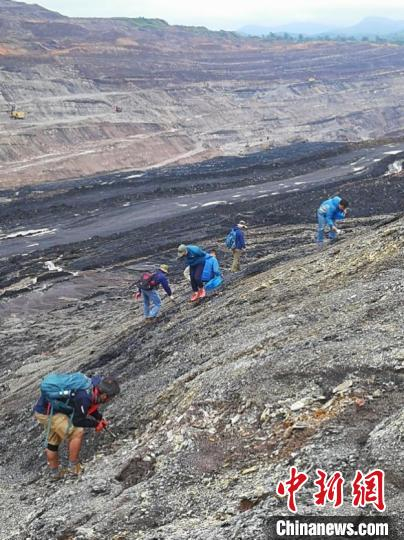 合作科研团队在越南野外科考。　吴飞翔 摄