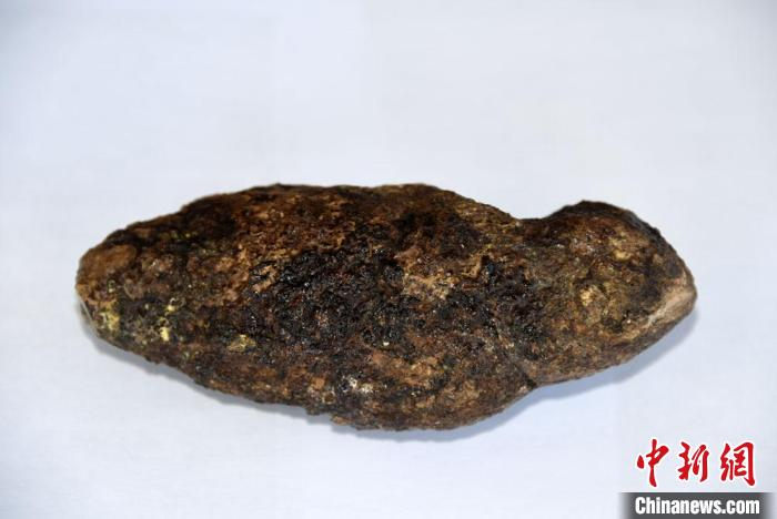 世界首例鳄鱼足印粪便化石标本。　中新社记者  孙自法 摄