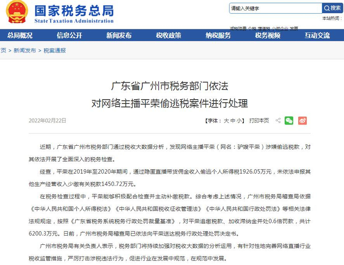 国家税务总局网站截图