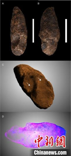 世界首例鳄鱼足印粪便化石标本。　中科院古脊椎所  供图