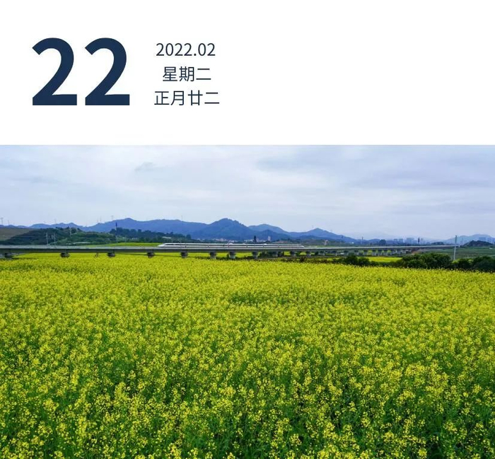 深圳光明区欢乐田园一片春色，列车在油菜花海中穿行。7c拍影 摄